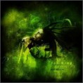 Shows Raízes do Reggae